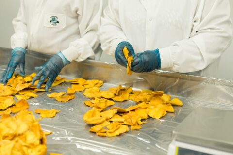 food manufacturing